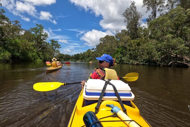Full-Day Guided Noosa Everglades Kayak Tour - The Sum Up