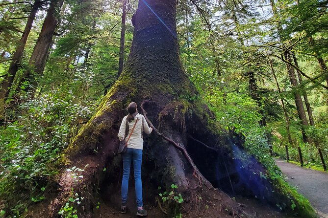 full-day-guided-oregon-coast-tour-from-portland