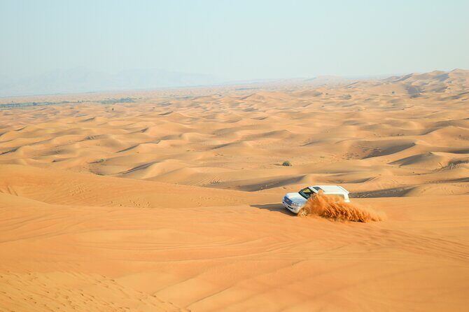 Full-Day Guided Red Dunes Desert Tour in Dubai with Camel Ride - Key Points