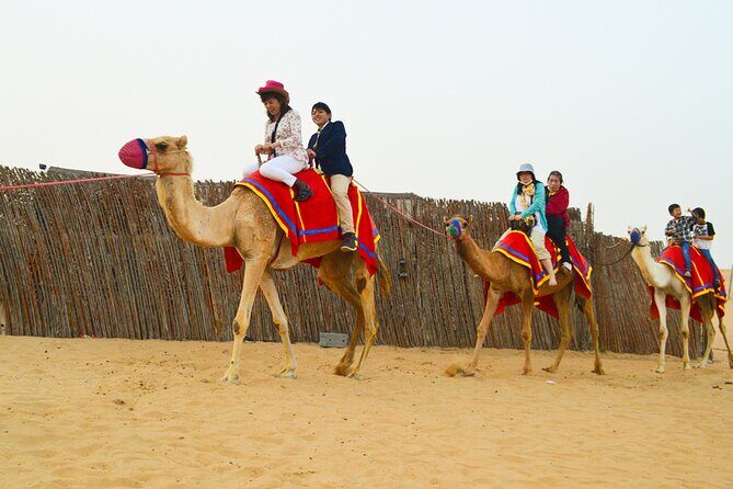 Full-Day Guided Red Dunes Desert Tour in Dubai with Camel Ride - FAQs