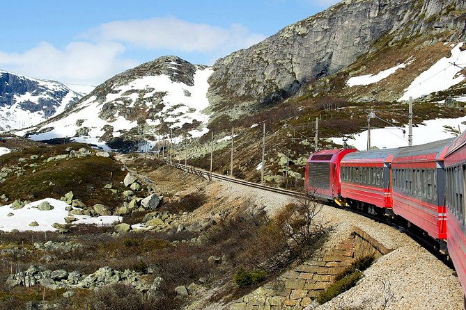 full-day-guided-roundtrip-from-bergen-to-sognefjord-with-flam-railway