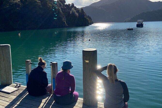 Full-Day Guided Sea Kayak Trip from Picton - Why this trip stands out