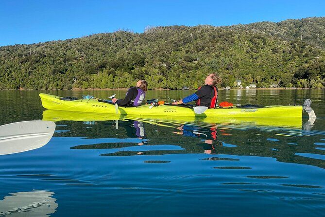 Full-Day Guided Sea Kayak Trip from Picton - Authentic Experiences from Reviews