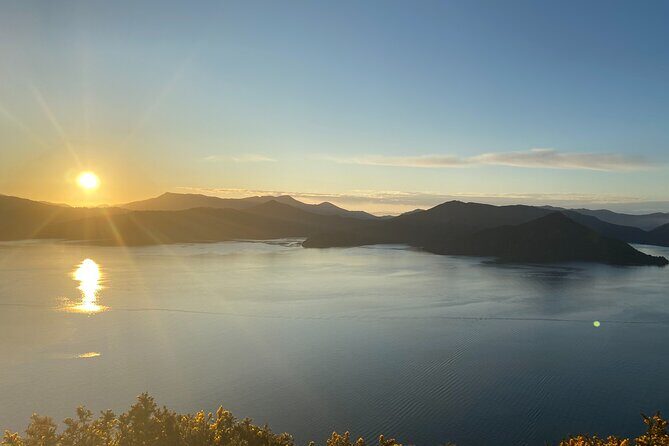 Full-Day Guided Sea Kayak Trip from Picton - The Sum Up
