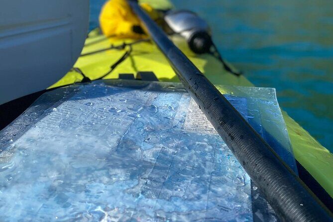 Full-Day Guided Sea Kayak Trip from Picton - FAQ