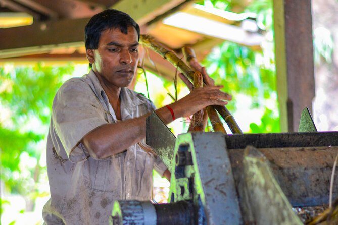 Full Day Guided Tea Route Mauritius: Including Lunch - Discover the Unique Charm of the Mauritius Tea Route