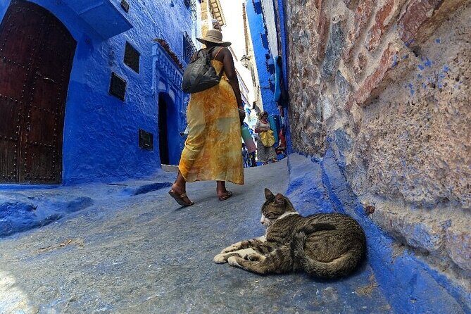 Full-Day Guided Tour from Fez to Chefchaouen - Final Thoughts