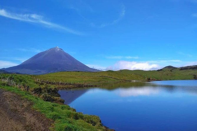 full-day-guided-tour-in-pico-island