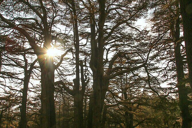 Full-Day Guided Tour of Northern Lebanon with Hotel Pickup - FAQs