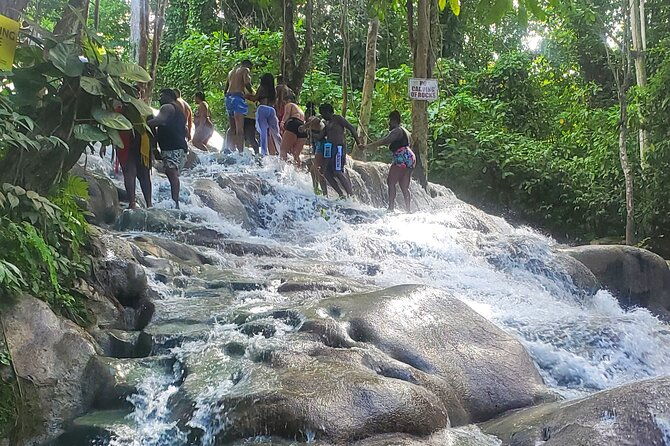 full-day-guided-tour-to-dunns-river-falls-shopping-with-lunch