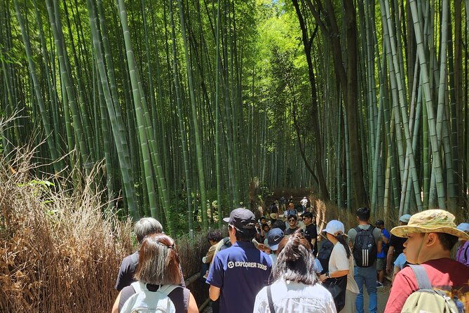 full-day-guided-tour-to-kyoto-arashiyama-from-osaka-by-van