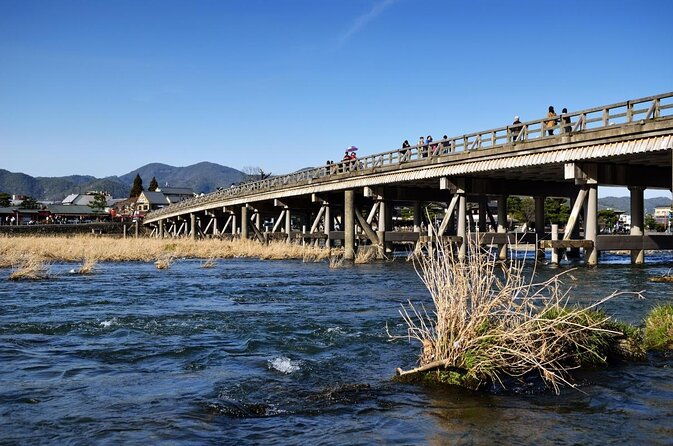 full-day-guided-tour-to-kyoto-top-3-from-osaka-by-van