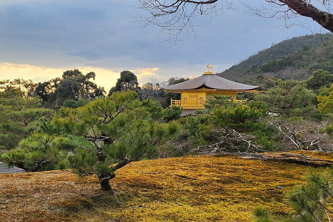 full-day-guided-tour-to-kyoto-top-3-from-osaka-by-van