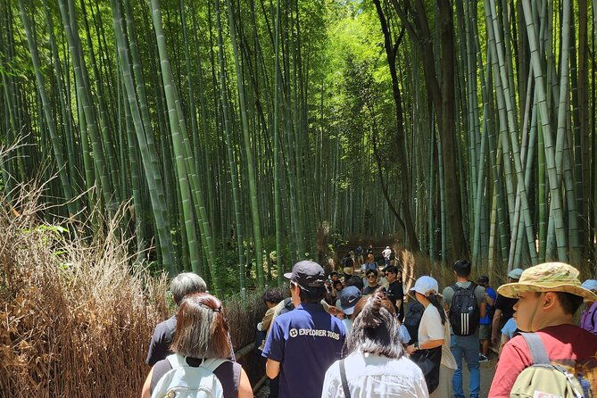 full-day-guided-tour-to-kyoto-top-3-from-osaka-by-van