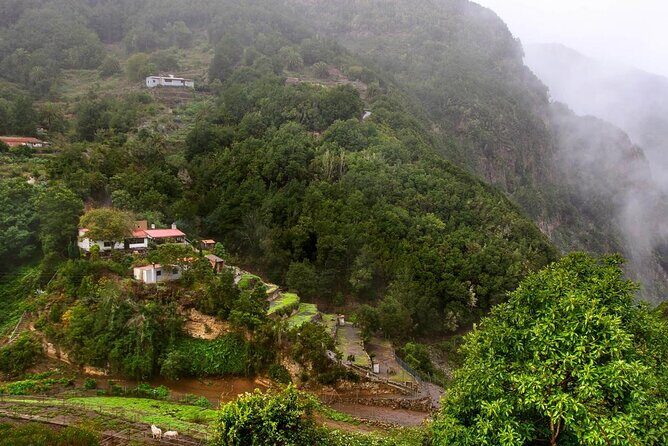 Full Day Guided Tour to La Gomera from Tenerife - An Introduction to the La Gomera Tour