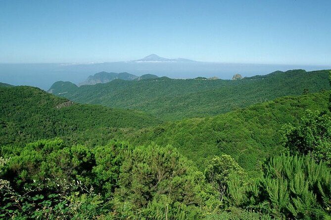 Full Day Guided Tour to La Gomera from Tenerife - In Summary