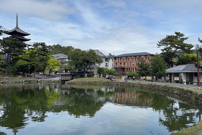 Full Day Guided Tour to Nara from Osaka by Van - The Convenience of Small-Group Travel
