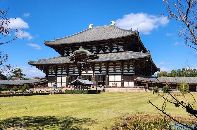 Full Day Guided Tour to Nara from Osaka by Van - Who Is This Tour Best For?