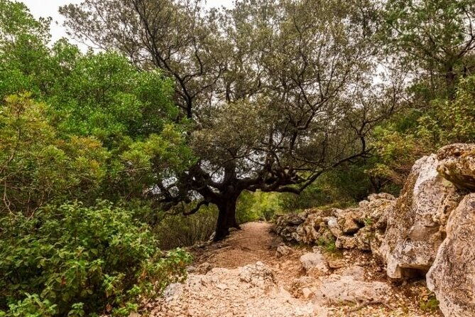 full-day-guided-trekking-tour-to-cala-goloritze
