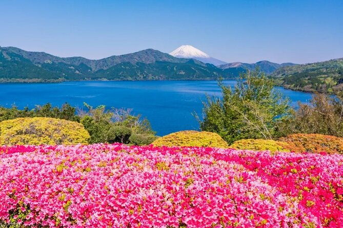 full-day-guided-trip-to-mt-fuji-and-hakone-from-tokyo