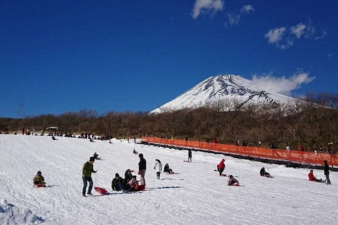 full-day-guided-trip-to-mt-fuji-and-hakone-from-tokyo