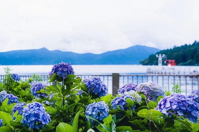 full-day-guided-trip-to-mt-fuji-and-hakone-from-tokyo