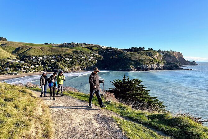 Full Day Guided Walking Tour and Picnic around Godley Head - Taylors Mistake & Awaroa / Godley Head Walk