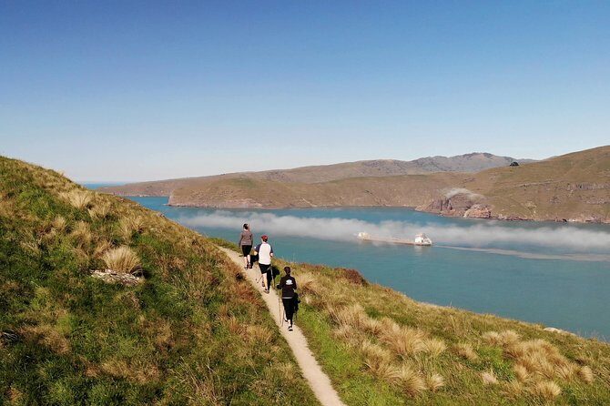 Full Day Guided Walking Tour and Picnic around Godley Head - Lunch and Rest at a Secluded Beach