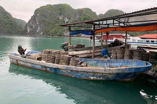 Full-Day Ha Long Bay & Lan Ha Bay Cruise with Hotel Pickup - Who Would Love This Tour?