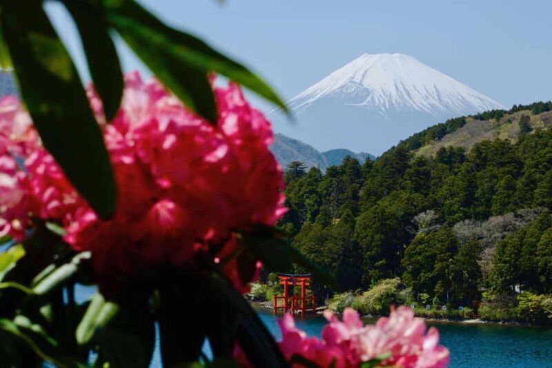 Full-Day Hakone Tour, With Mt. Fuji View & Sky Walk - Key Points