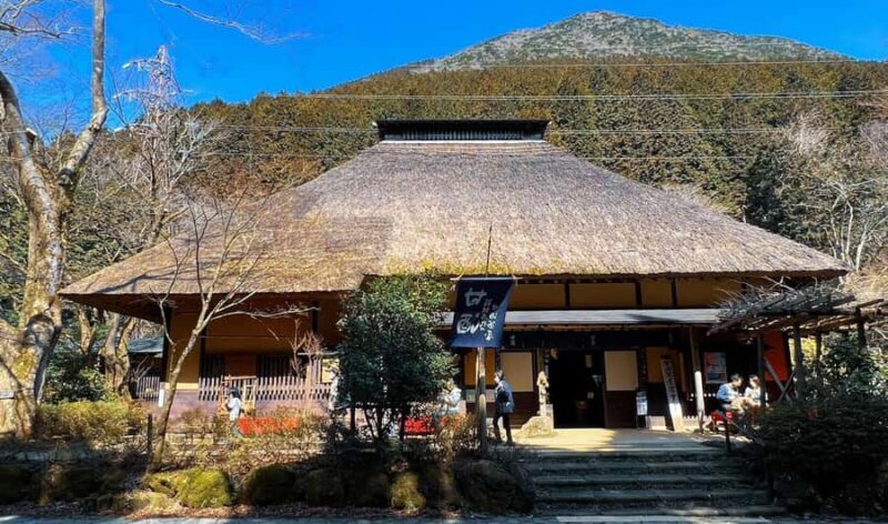 Full-Day Hakone Tour, With Mt. Fuji View & Sky Walk - Who Is This Tour Best For?