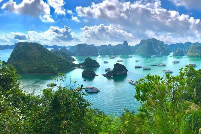 Full Day Halong Bay Cruise from Hanoi  Best Selling Tour - What’s Included & What to Consider