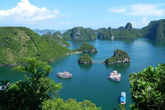 Full-Day Halong Bay Islands and Cave Tour by Transfer Expressway - Who Should Consider This Tour?