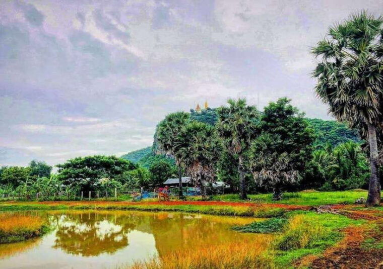 full-day-handicraft-bamboo-train-killing-cave-bat-cave