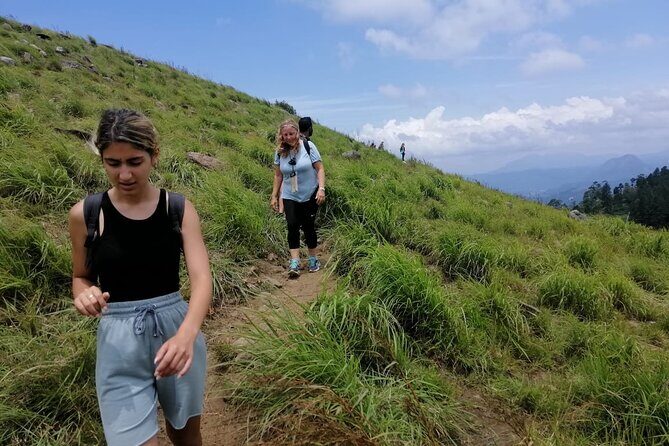 Full Day Hantana Pekoe Trail Hike from Kandy - FAQs