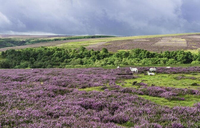 full-day-heartbeat-locations-tour-from-york