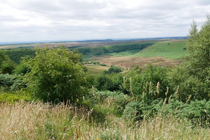 full-day-heartbeat-locations-tour-from-york