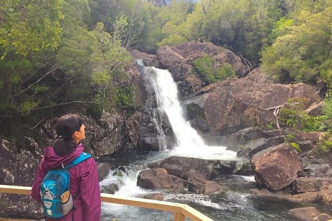 full-day-hike-alerce-andino-national-park