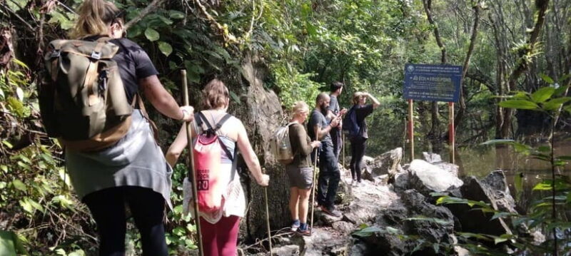 Full day hike - climbing in Jungle of Cat Ba National park - FAQ
