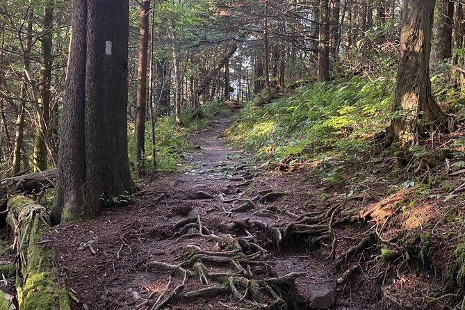 full-day-hike-to-charlies-bunion-on-the-appalachian-trail