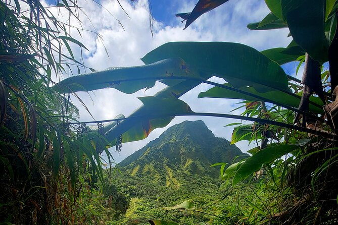 full-day-hike-tour-from-dominica