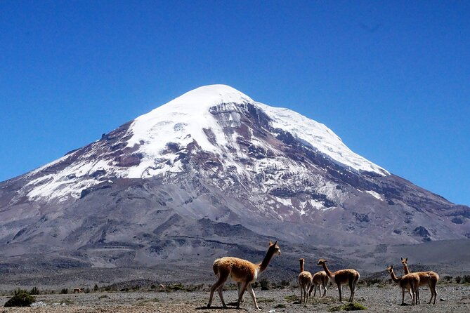 full-day-hiking-experience-of-chimborazo-volcano-with-lunch