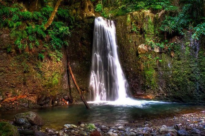 Full Day Hiking Faial da Terra (Min. 2 persons) - An Overview of the Full Day Hiking Faial da Terra Tour