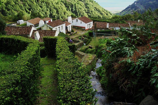 Full Day Hiking Faial da Terra (Min. 2 persons) - The Itinerary: What You’ll Actually Do