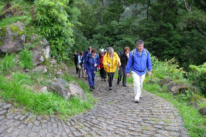 Full Day Hiking Faial da Terra (Min. 2 persons) - FAQs