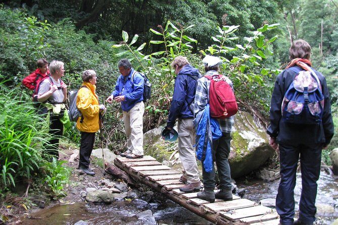 Full Day Hiking Faial da Terra (Min. 2 persons) - Final Thoughts