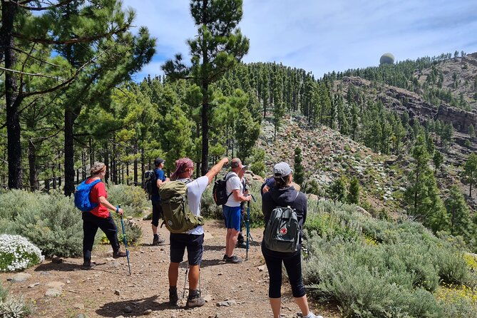 full-day-hiking-gran-canaria-peaks-of-gran-canaria
