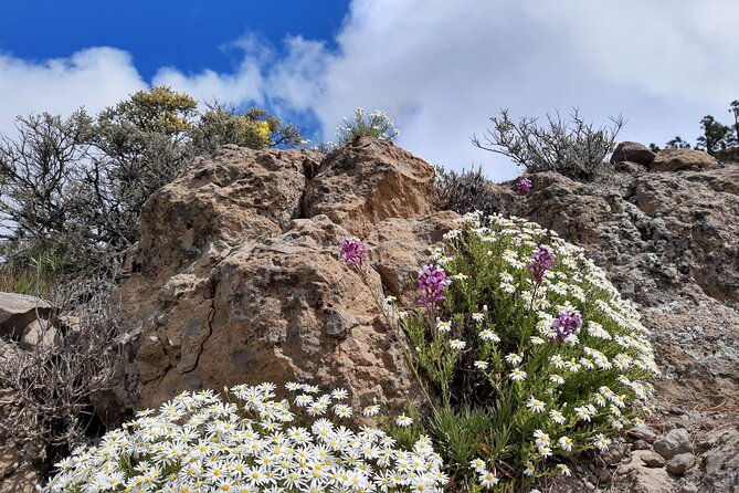full-day-hiking-gran-canaria-peaks-of-gran-canaria