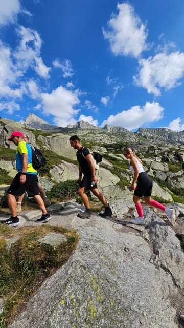 Full-Day Hiking Swiss Alps and Lake with Pick-up - Who is This Tour Best For?