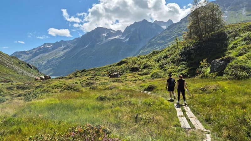 Full-Day Hiking Swiss Alps and Lake with Pick-up - Frequently Asked Questions